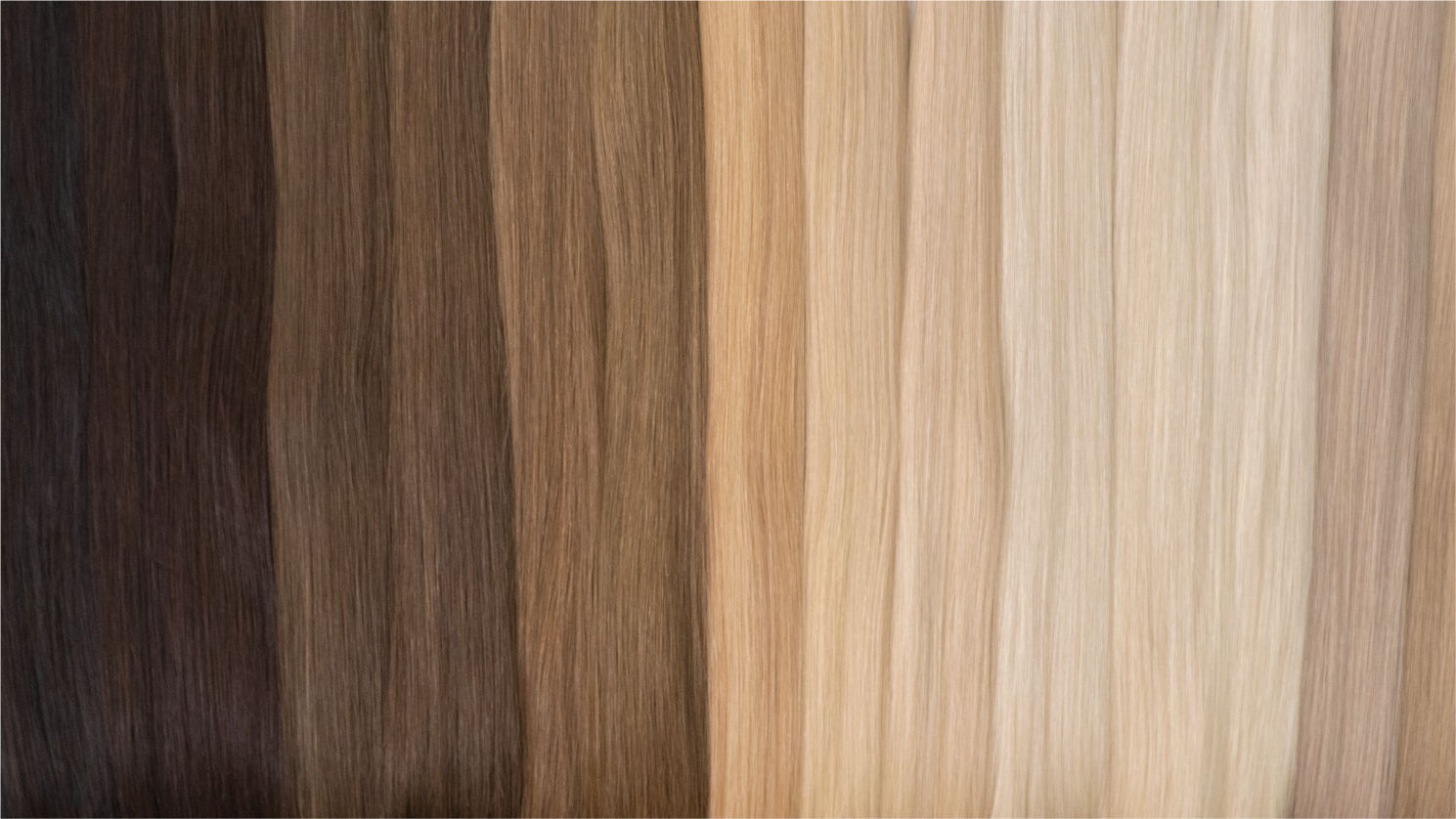 XFantasy Hair